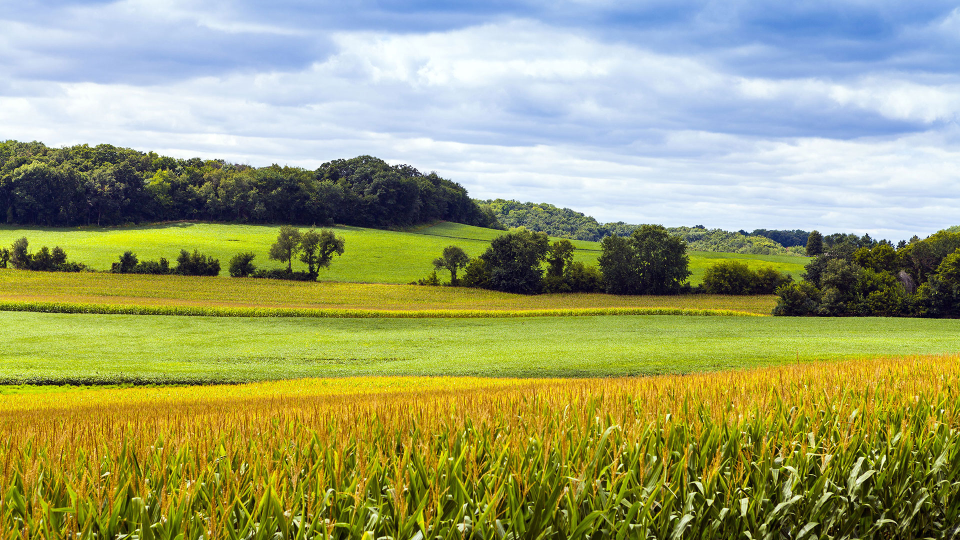 Ag Organic Springfield Illinois